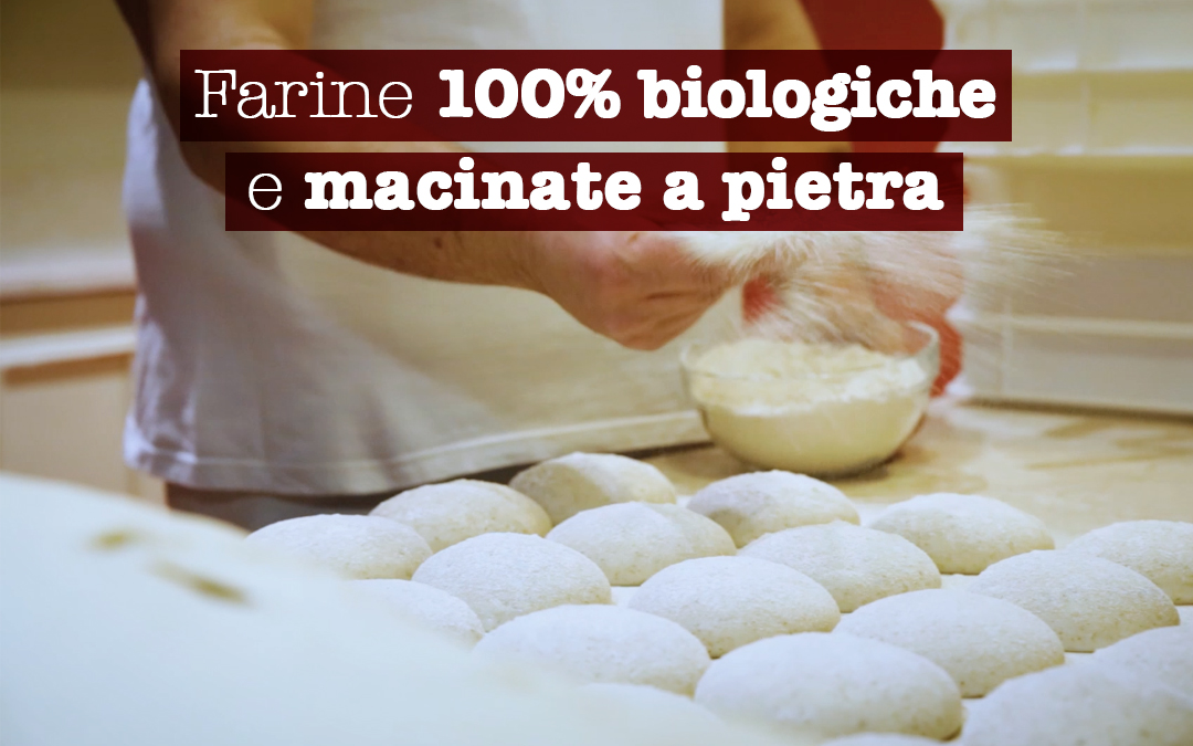 Pizze 100% Bio