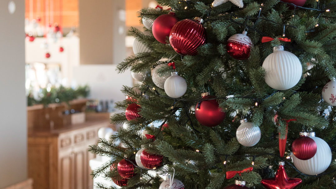 Regali Sotto L Albero Di Natale.Un Regalo Al Giorno Sotto L Albero Per Te Solo A La Corte Dei Ciliegi